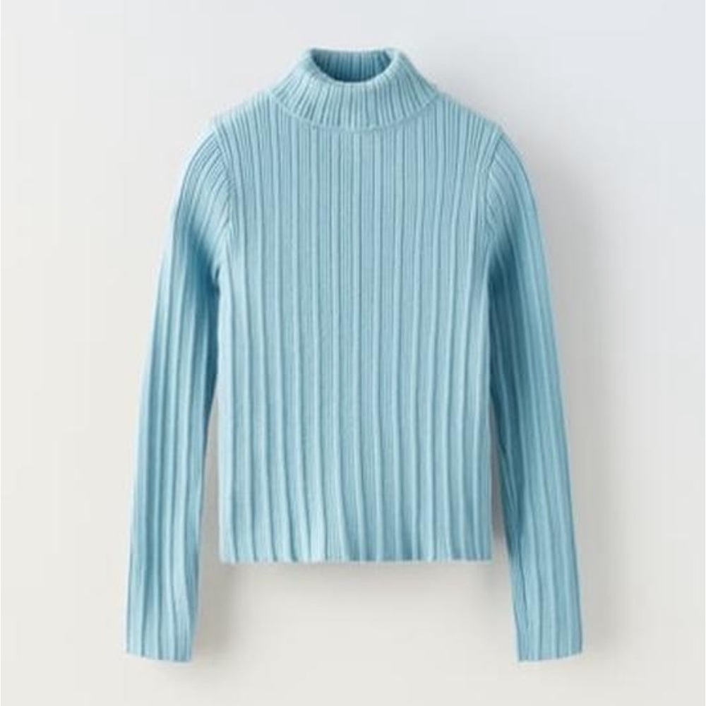ZARA Ribbed Turtleneck Sweater